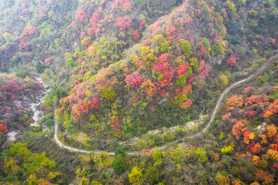 山间小路