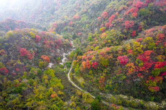 山间小道