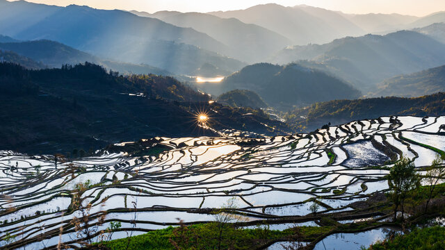 元阳甲寅梯田