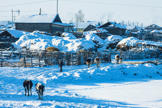 冬季大雪乡村民居