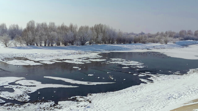 雪原