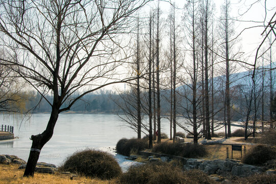 冬日风景