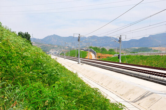 津秦客专路基段绿化工程