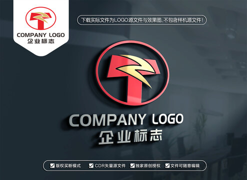 TZ字母标志ZT字母LOGO