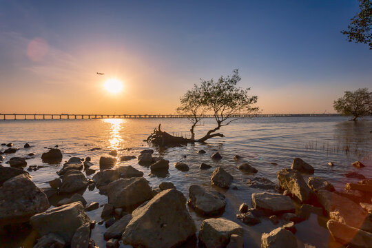 深圳西湾红树林日落美景