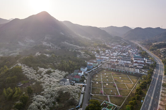 被漫山遍野的梅花环绕的村庄