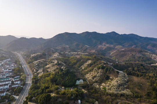 被漫山遍野的梅花环绕的村庄