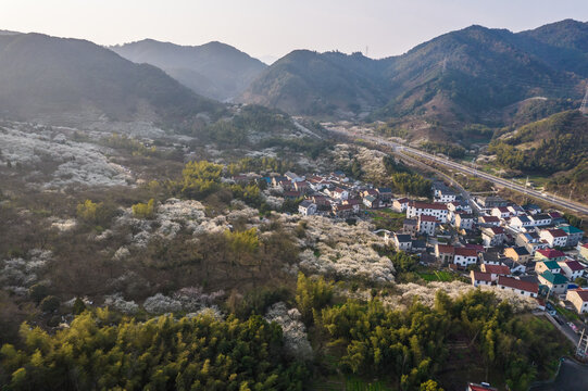 被漫山遍野的梅花环绕的村庄