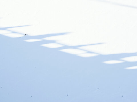 冬天雪地的护栏影子