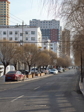 冬季光影下的河道小路