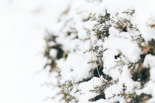 冬季户外白雪堆满