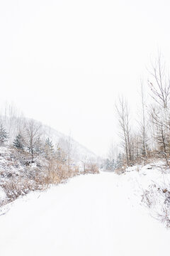 冬天的山路被大雪覆盖