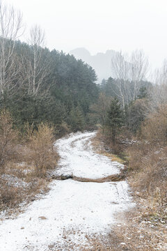 冬天覆盖山路的白雪