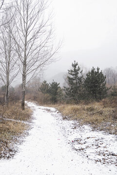 冬季大雪过后的山路