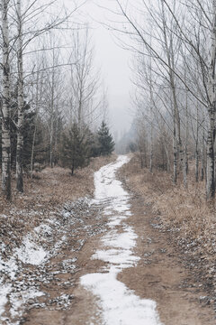 冬季雪后的山林小路