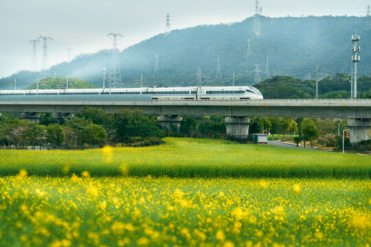 油菜花田上疾驰的列车