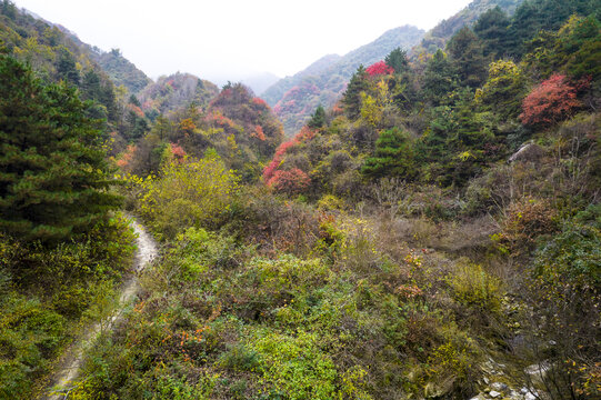 山间小道