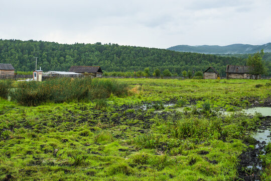 山村沼泽