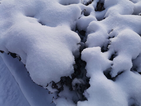 积雪