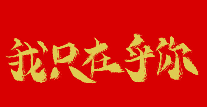 我只在乎你