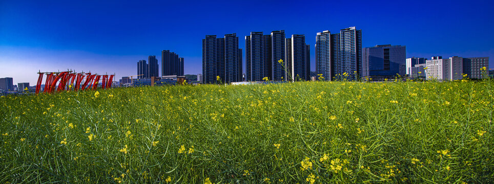 天际线的风景