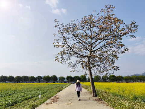 公路上的女孩