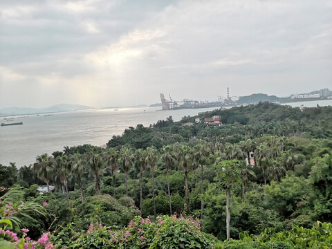 鼓浪屿植物风景