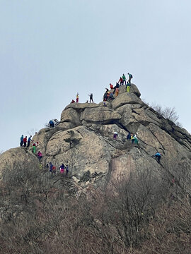 群雄登顶