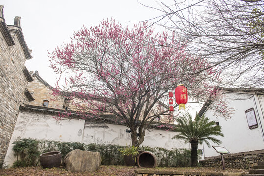 梅花與徽派建筑