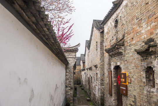 梅花與徽派建筑