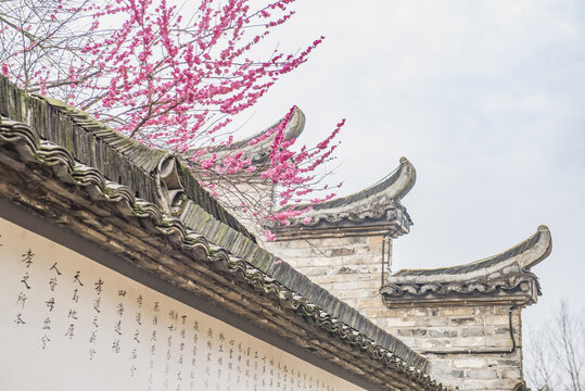 梅花與徽派建筑