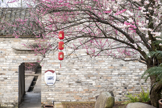 梅花與徽派建筑