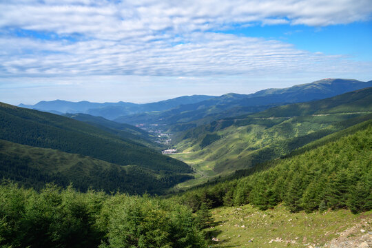 蓝天白云高山草甸