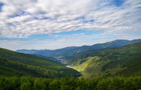 蓝天白云高山草甸