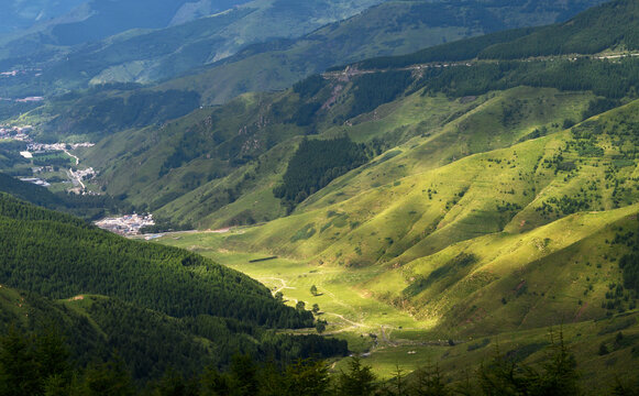 高山草甸阳光