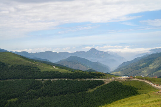 高山草原草甸