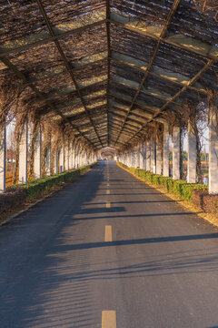 乡村道路