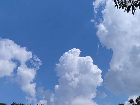 夏日晴空