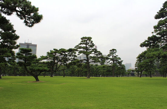 日本东京皇宫广场