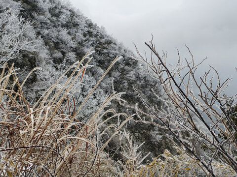 雪景