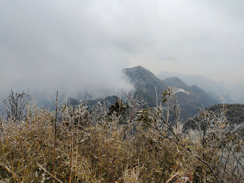 高山云雾