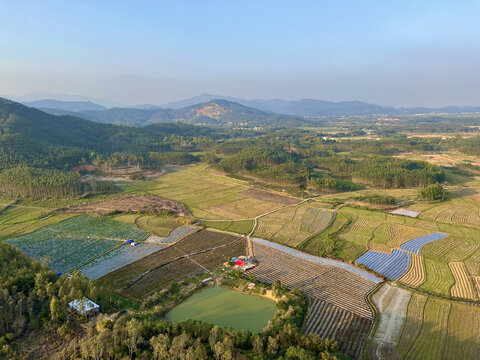 美丽田园恩平雁鹅村