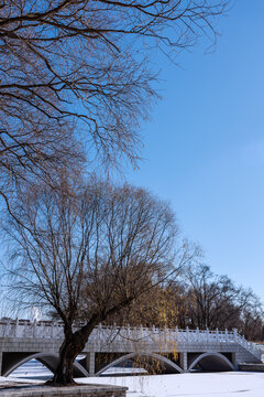 冬天雪后的中国沈阳北陵公园