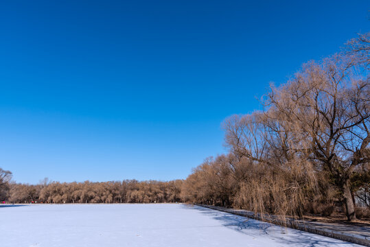 冬天雪后的中国沈阳北陵公园