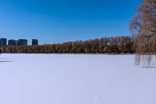 冬天雪后的中国沈阳北陵公园