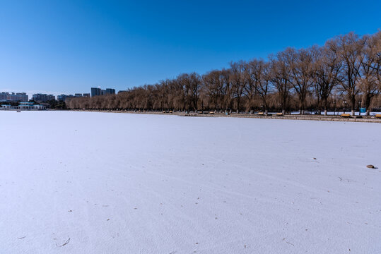 冬天雪后的中国沈阳北陵公园