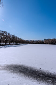 冬天雪后的中国沈阳北陵公园