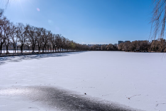 冬天雪后的中国沈阳北陵公园