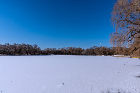 冬天雪后的中国沈阳北陵公园