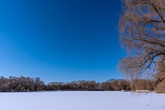 冬天雪后的中国沈阳北陵公园